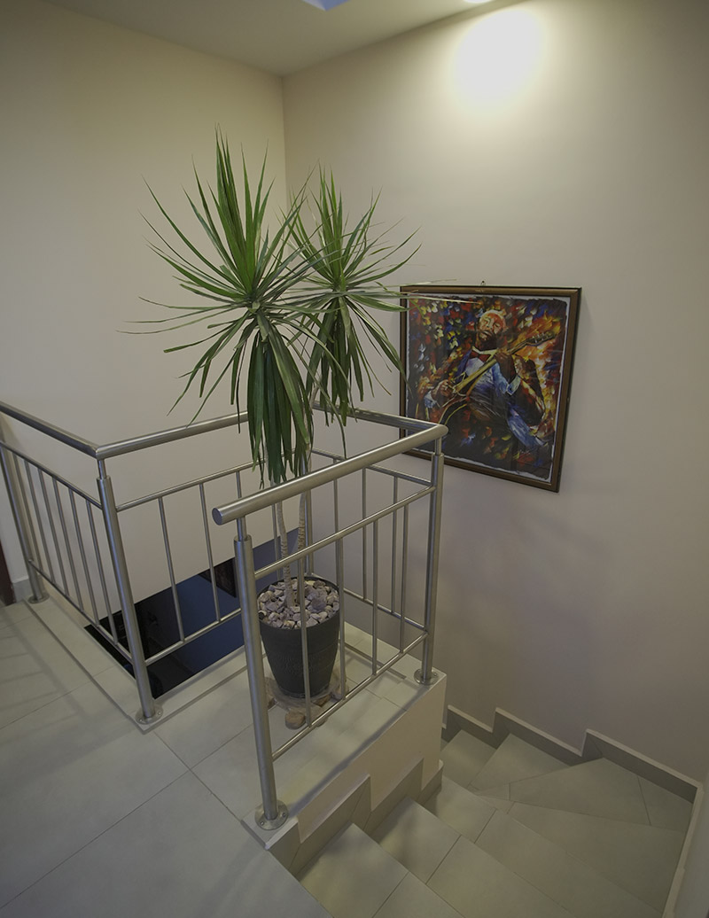 gsr element dalia 01