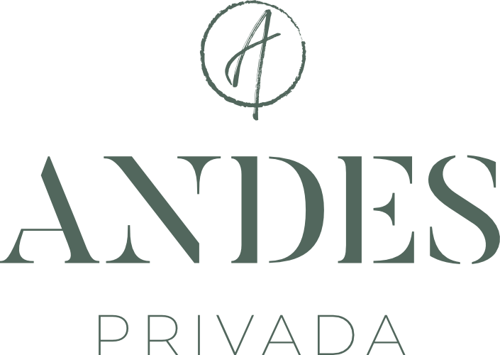 Logo Andes