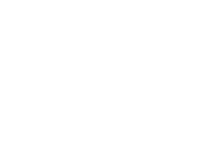 Logo Andes