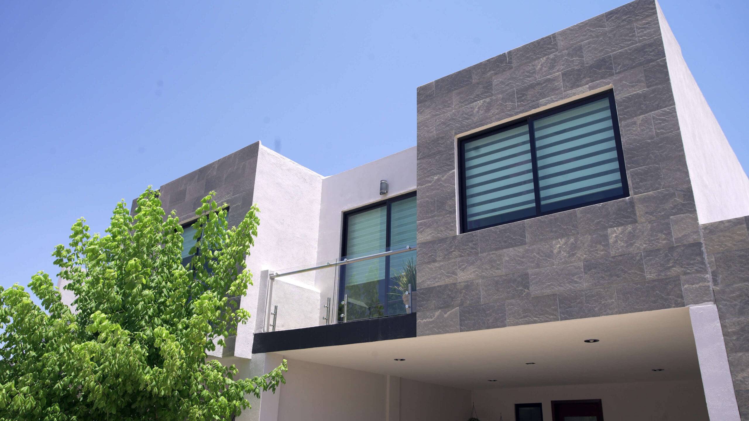 Los Encinos - Encino Blanco