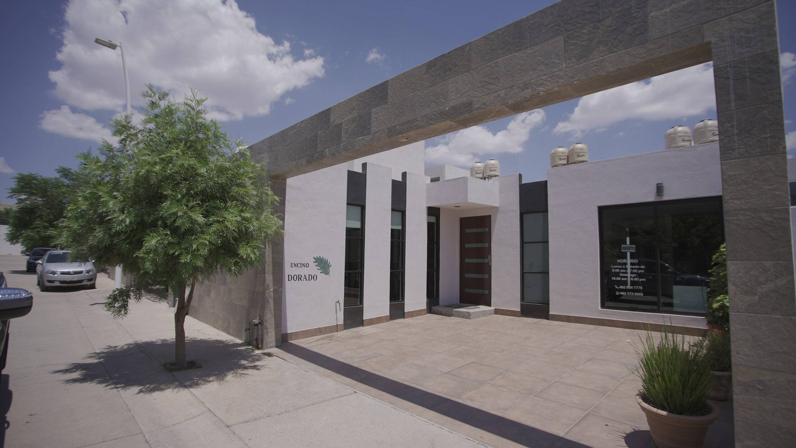 Los Encinos - Encino Blanco