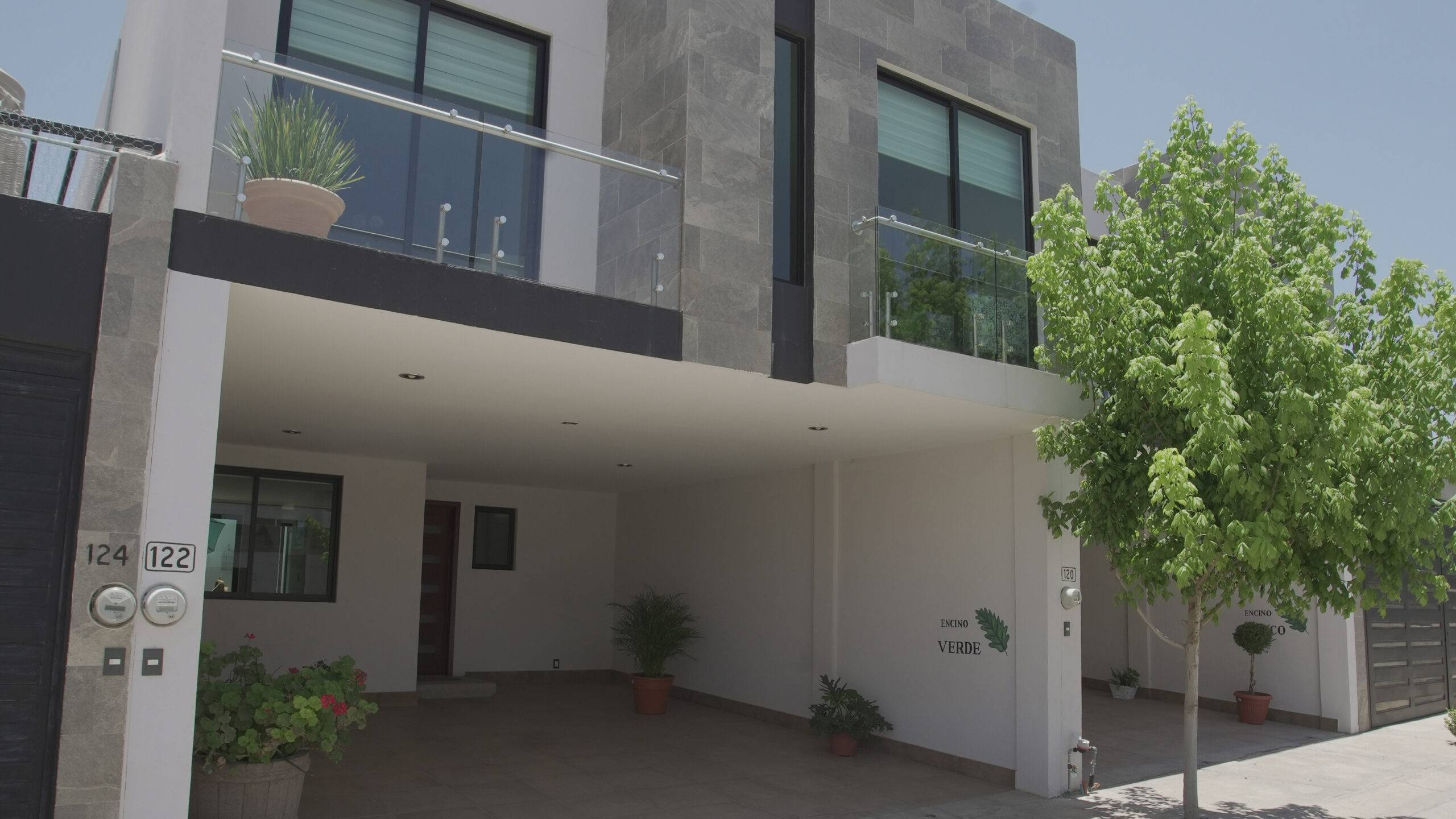 Los Encinos - Encino Verde